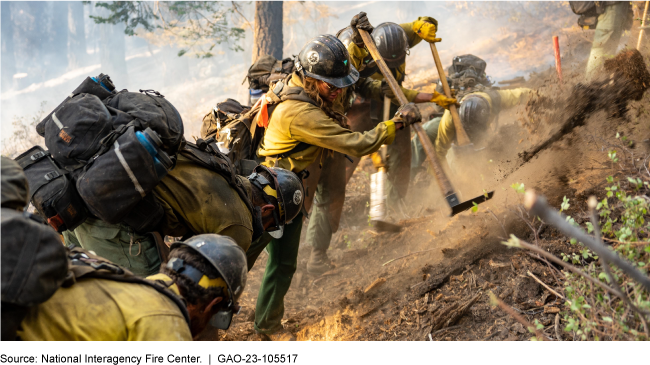 A firefighting crew in the forest using garden hoes to dig dirt on a hill.