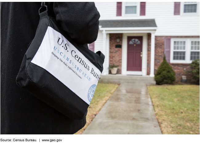 A person carrying a U.S. Census Bureau tote bag with the front door of a house in the background.