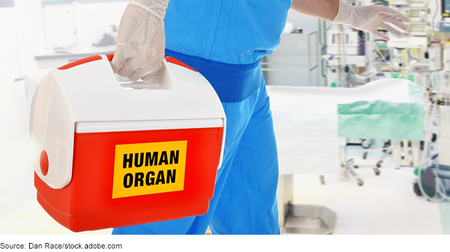 A person wearing scrubs rushing a plastic box labeled human organ into an operating room setting.