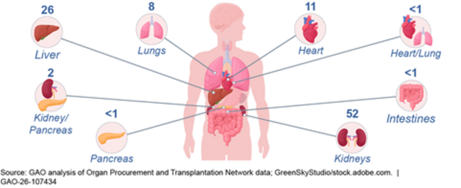 Organ Transplants from Deceased Donors, Percent by Type, 2024