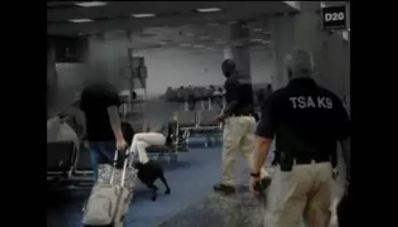 TSA&#039;s Passenger Screening Canine Misses Explosive Training Device Inside an Airport Terminal