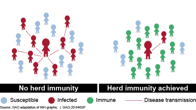 COVID-19 zugzwang: Potential public health moves towards population (herd)  immunity - Repository - Public Health Scotland
