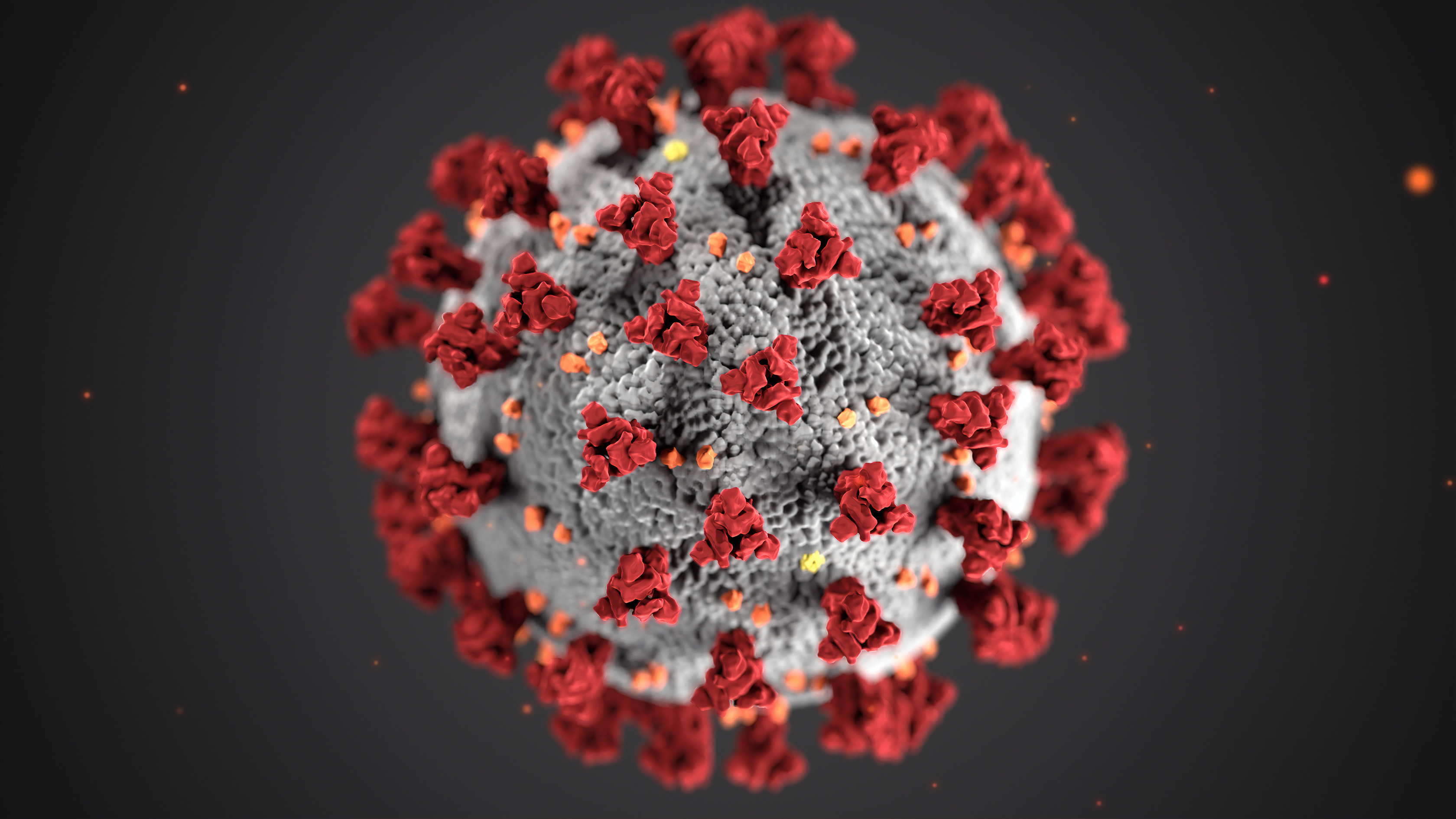 Coronavirus Oversight | U.S. GAO