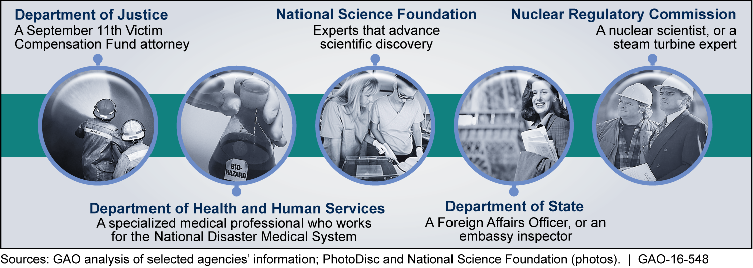 Special Government Employees Fill a Variety of Roles at Selected Agencies