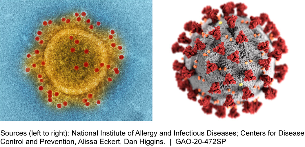 coronavirus image