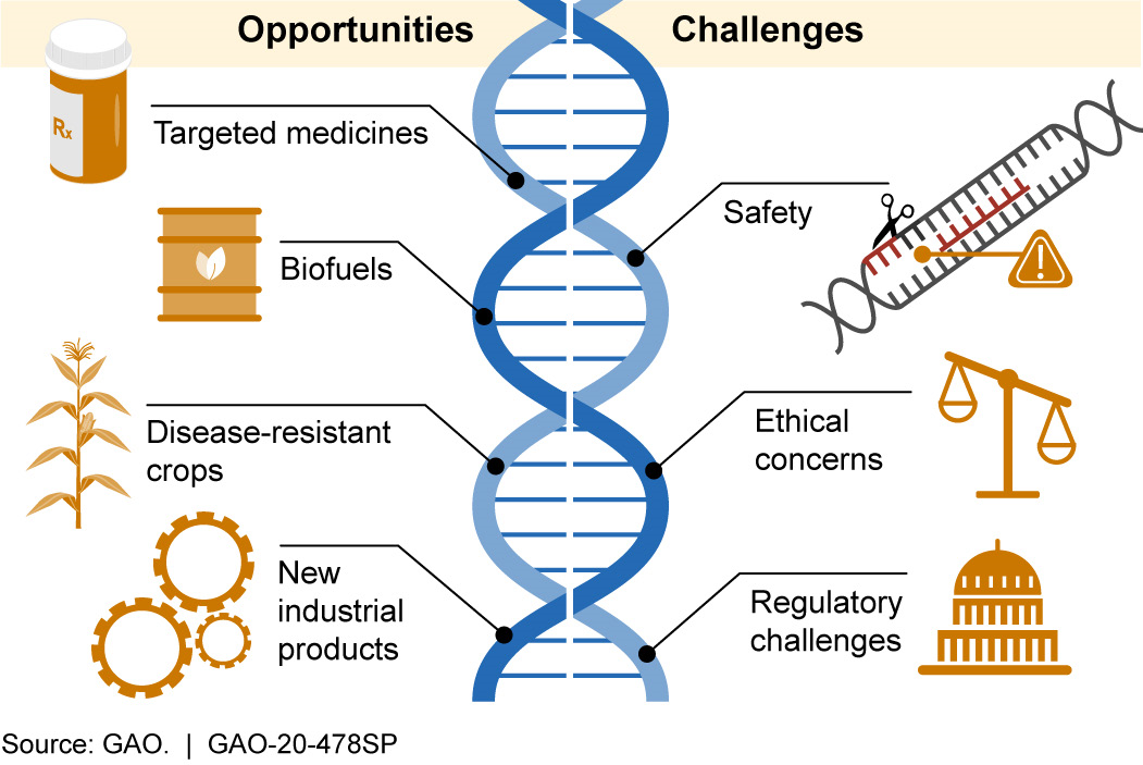 Science Tech Spotlight CRISPR Gene Editing U S GAO