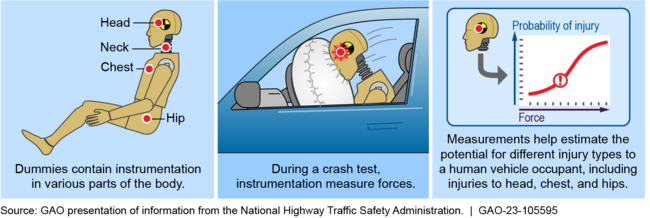 How Dummies Provide Information in Crash Tests to Estimate Crash Risks