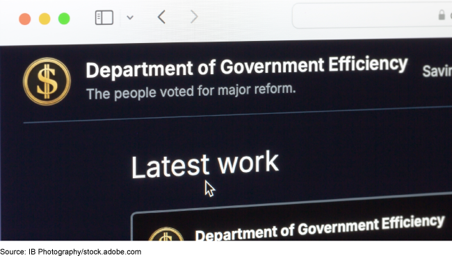 Screenshot of the Department of Government Efficiency's website.
