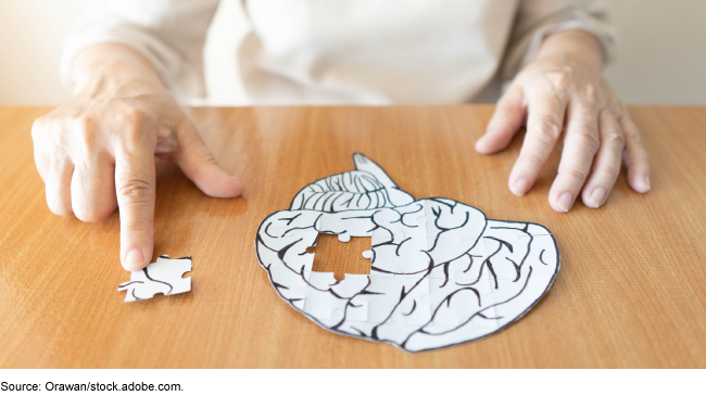 An older person's hands rest on a wooden table near a paper brain. The person rests a finger on a jigsaw puzzle-style piece of the paper brain, which is missing from the paper brain and off to the side.