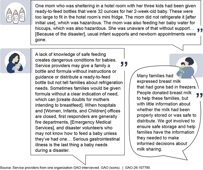 Figure: Examples of Observations from Service Providers from One Organization That Helped Mothers and Young Children During Hurricane Helene in 2024