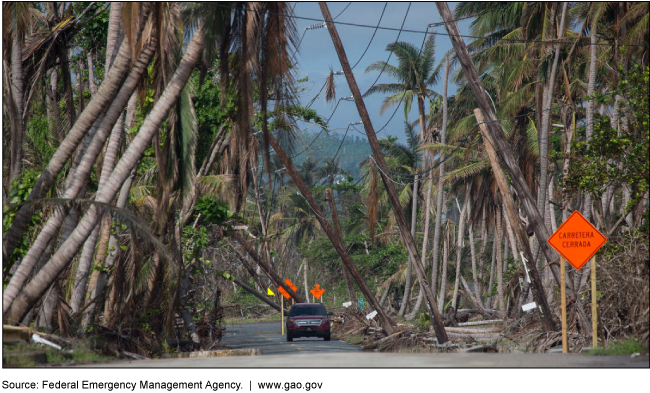 Car navigating road with fallen palm trees