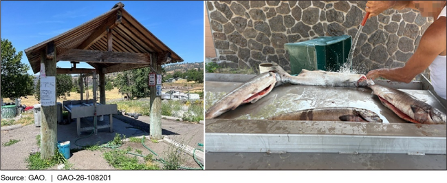 A picture containing building, house AI-generated content may be incorrect.