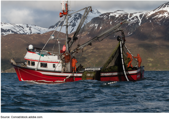 red and white commercial fishing vessel in water