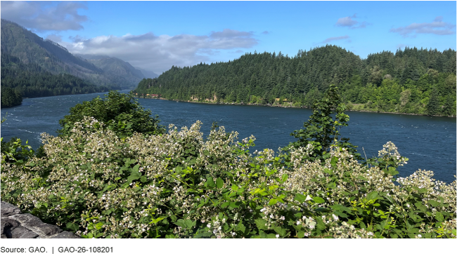 A scenic view of the Columbia River in Oregon. A scenic view of the Columbia River in Oregon.