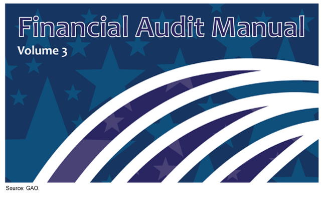Financial Audit Manual: Volume 3 logo with curved purple and white stripes and faint blue stars.