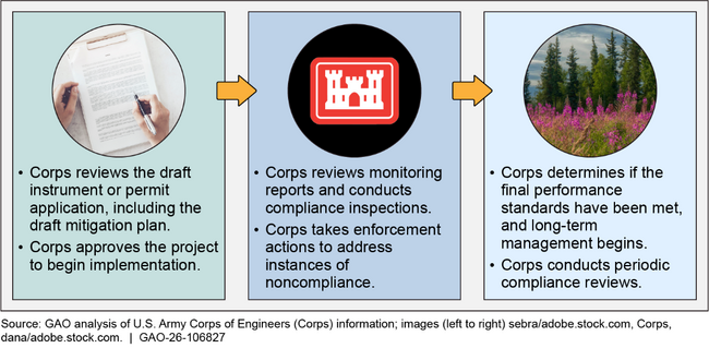 Corps Role in Oversight of Compensatory Mitigation