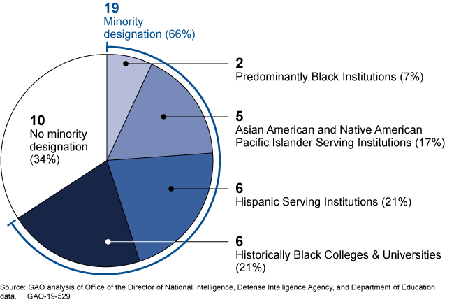 Pie chart showing 34% no minority designation; 66% minority designation; and the breakdown of the minority designation by type.