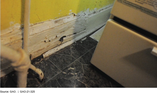 Damaged baseboard trim with deteriorating paint