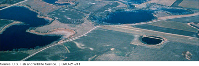 Wetlands and Cropland in the Prairie Pothole Region