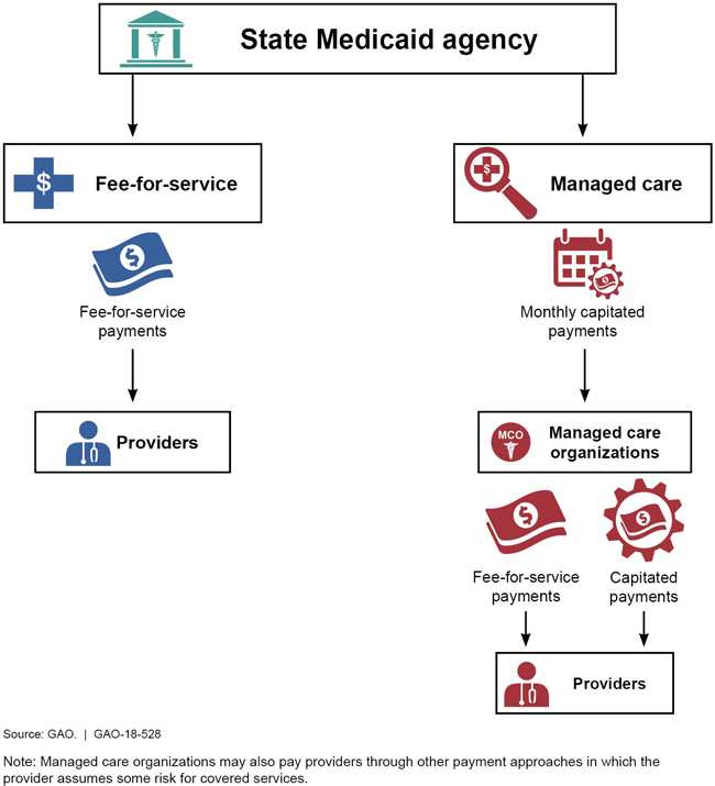 This graphic shows the chain of payments under fee-for-service and managed care arrangements. 
