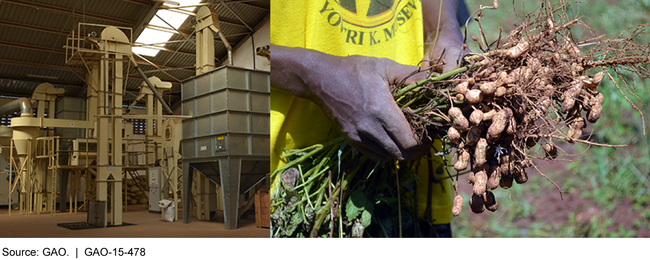 Volunteers Provide Expertise on Grain Processing and Groundnut Production in Uganda