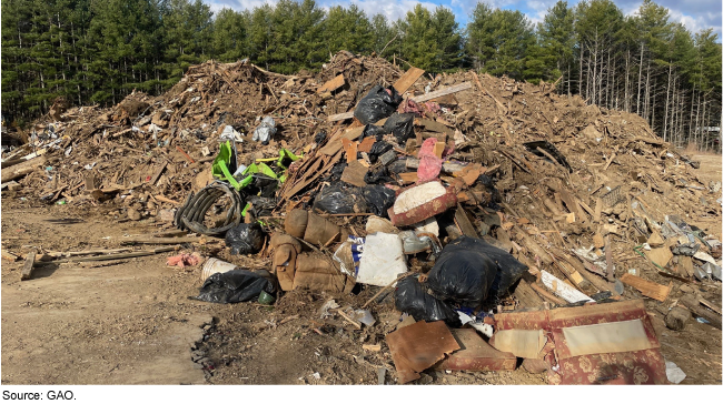 A pile of debris and mud surrounded by several trees. A pile of debris and mud surrounded by several trees.