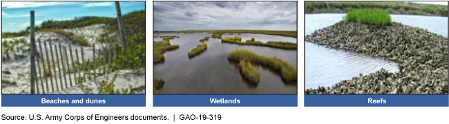 Three photos of a beach, a wetland area, and a reef