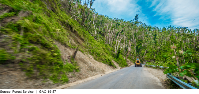 Photograph of a construction vehicle on a densely wooded road.