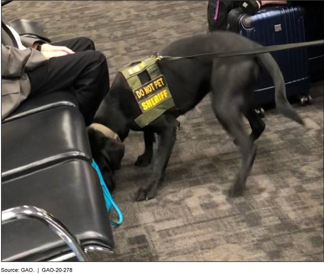 A police dog sniffing a bag under chairs at an airport