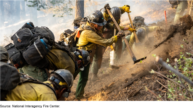 image of firefighters working in a forest