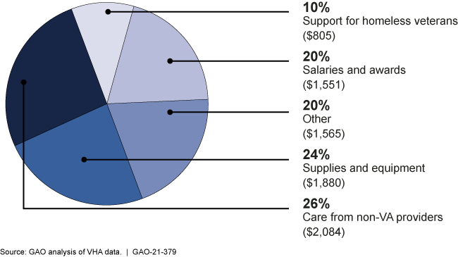 Pie chart showing where the majority of VA health care system's supplemental funding went.