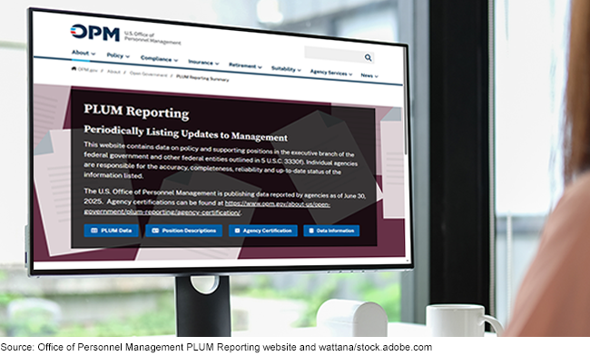Computer screen displaying the PLUM Reporting website homepage. 
