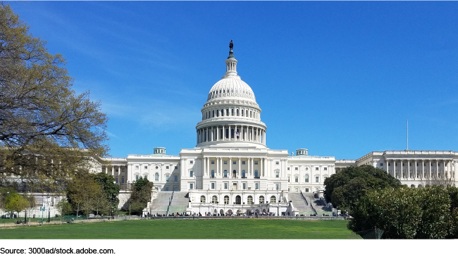 The U.S. Capitol building on a sunny day with a blue sky above, green grass in front and framed by trees and bushes on either side