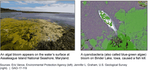 Environmental Protection: Information on Federal Agencies' Expenditures ...