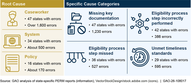 Causes of Medicaid Eligibility Errors Identified in Payment Error Rate Measurement (PERM) Reports from Reporting Years 2019–2025