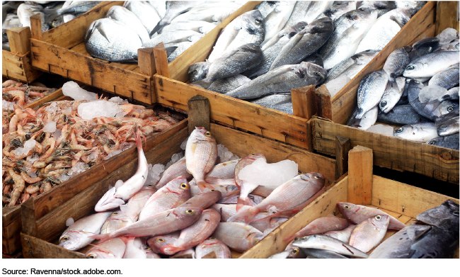 Combating Illegal Fishing: Better Information Sharing Could