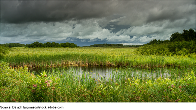 A prairie pond in Minnesota with flat grasslands. A prairie pond in Minnesota with flat grasslands.