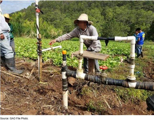 workers accessing water from an irrigation system on a lettuce farm