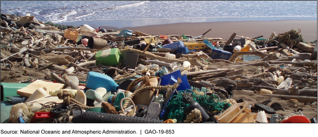 Marine debris washed ashore on a beach