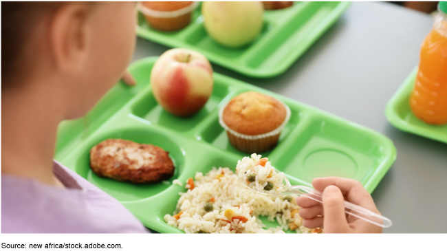 National School Lunch Program Usda
