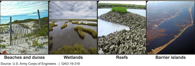 Examples of Natural Coastal Infrastructure