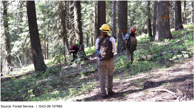 Three people wearing backpacks and hard hats mark trees in the woods with red spray paint.