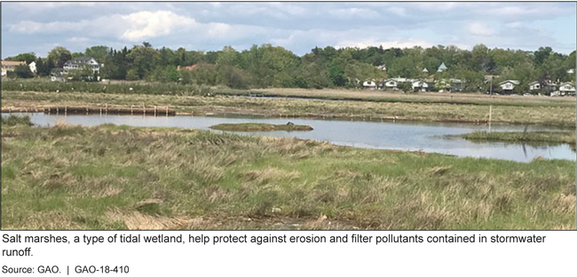 A Salt Marsh in the Long Island Sound Watershed