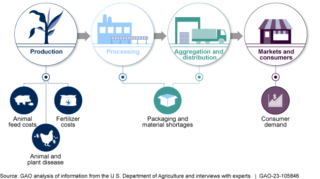 graphic illustrating how different factors in the supply chain can affect food prices