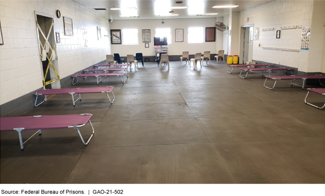 A large room with several pink cots and plastic chairs.