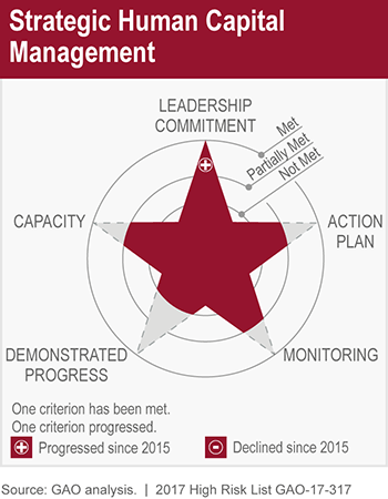 Strategic Human Capital Management