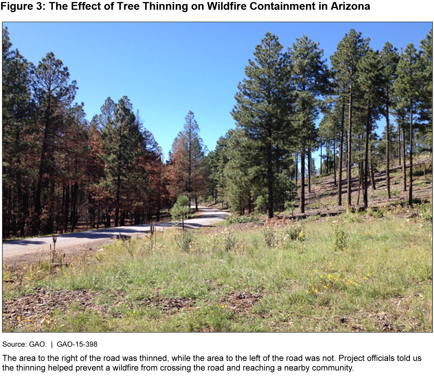 Figure 3: The Effect of Tree Thinning on Wildfire Containment in Arizona