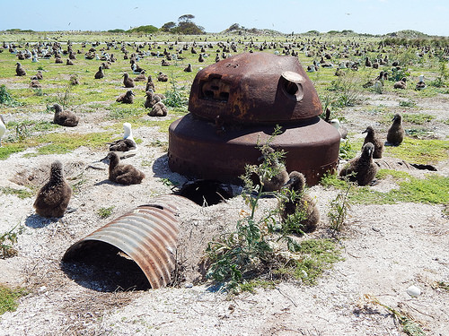 Figure 30: Metal Pillbox (Property No. E-3), Midway Atoll, Eastern Island (April 16, 2015)