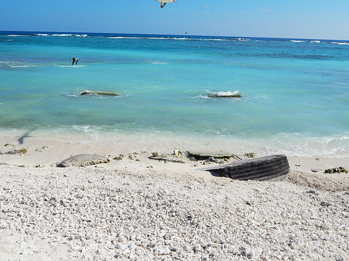 Figure 42: Possible Gun Position (Property No. E-7, E-8), Midway Atoll, Eastern Island (April 16, 2015)