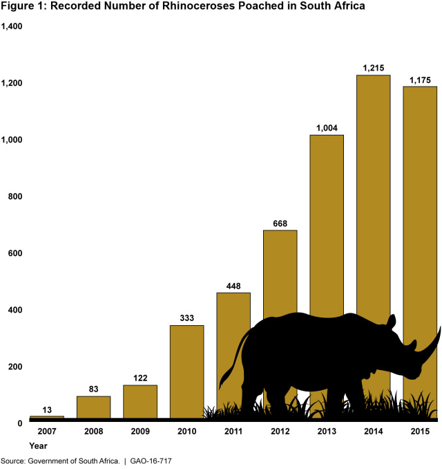 Figure 1: Recorded Number of Rhinoceroses Poached in South Africa